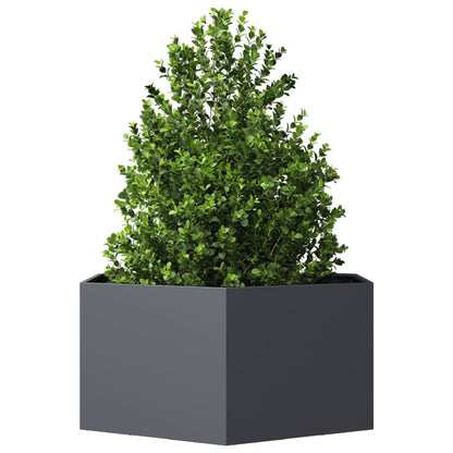 Fioriera da Giardino Antracite Esagono 104x90x45 cm in Acciaio | homemem39