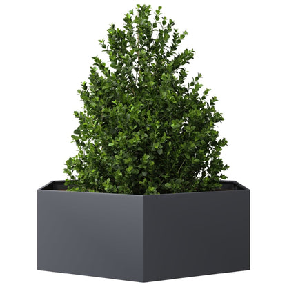 Fioriera da Giardino Antracite Esagono 138x120x45 cm in Acciaio