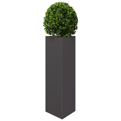 Fioriera da Giardino Nera Triangolare 30x26x75 cm in Acciaio