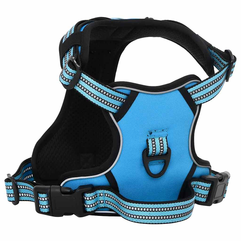 Pettorina per Cani con Guinzaglio e Collare Regolabile Blu L | homemem39
