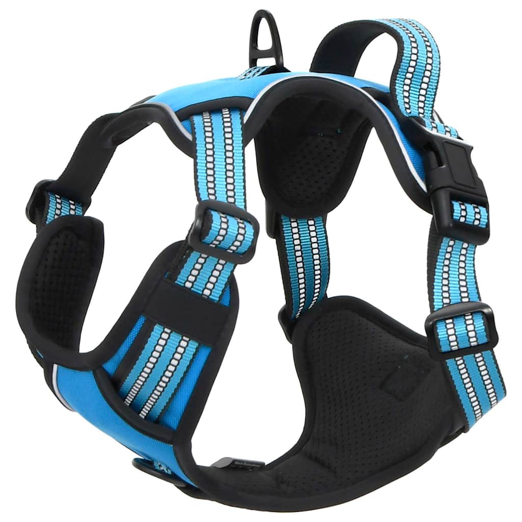 Pettorina per Cani con Guinzaglio e Collare Regolabile Blu L | homemem39