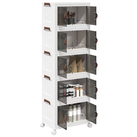 Scatola Portaoggetti con Ruote 5 Livelli 28 L 48,5x29,5x139 cm - homemem39