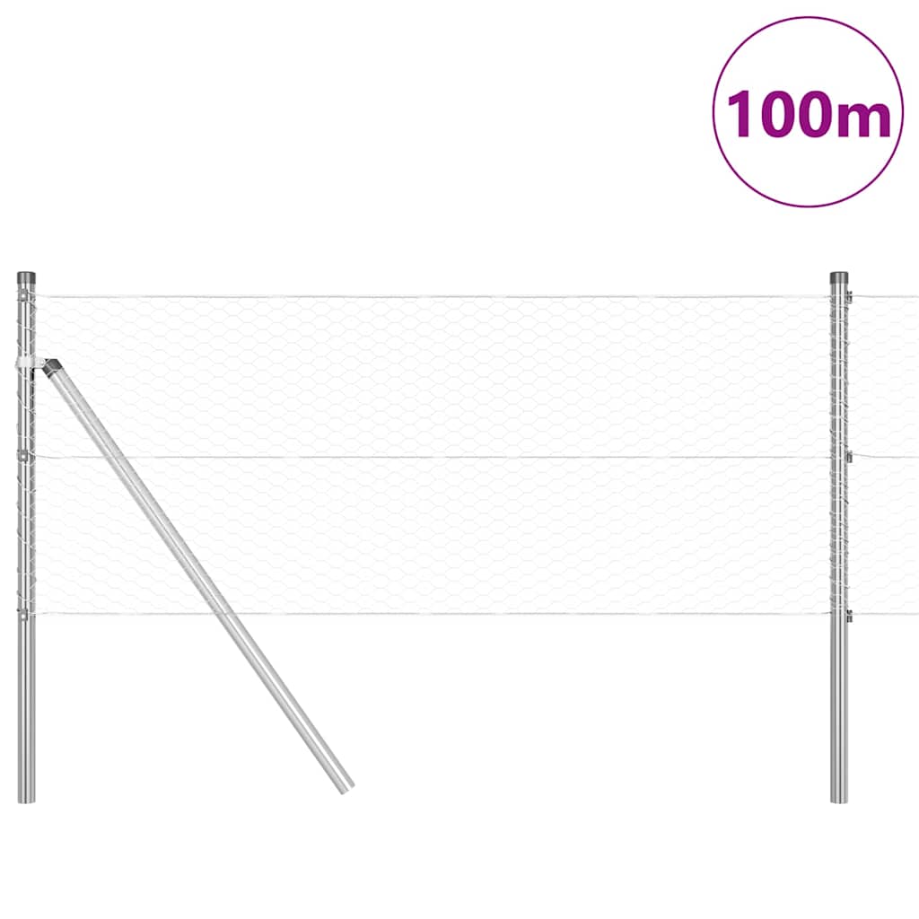 Palo della recinzione Argento 100 x 0,6 m (rete da 25 mm)