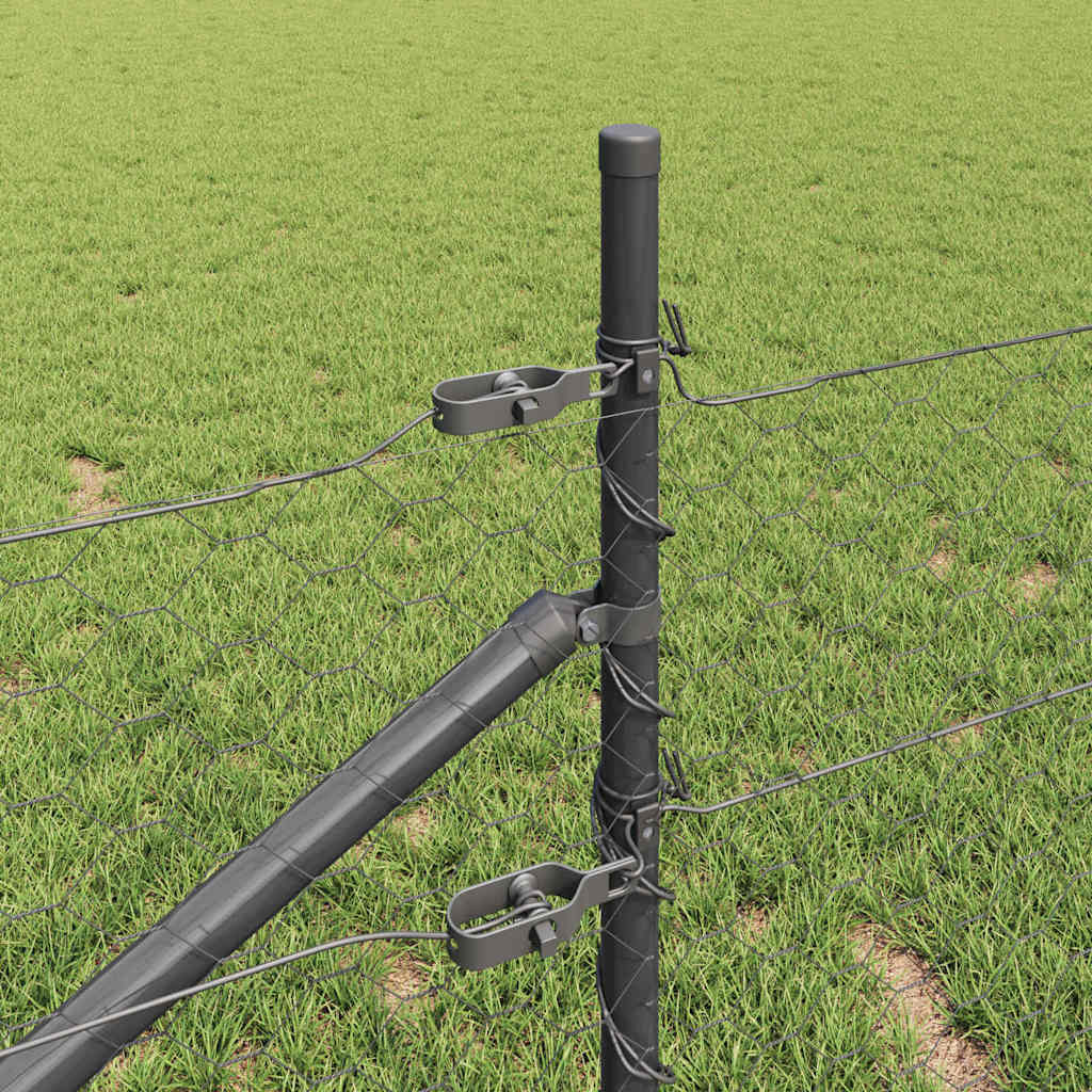 Recinzione in rete saldata con punte 10 x 0,8 m (L x H)