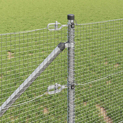 Recinzione in rete saldata con punte 100 x 0,4 m (L x H)