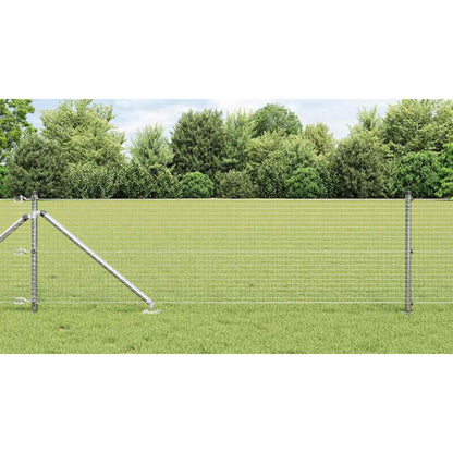Recinzione in rete saldata con punte 100 x 0,4 m (L x H)
