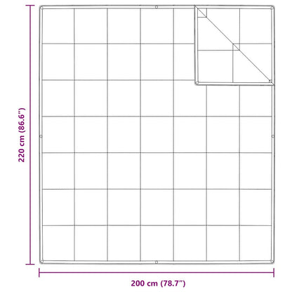 Quilt e Piumini Bianco 200 x 220 cm Piume