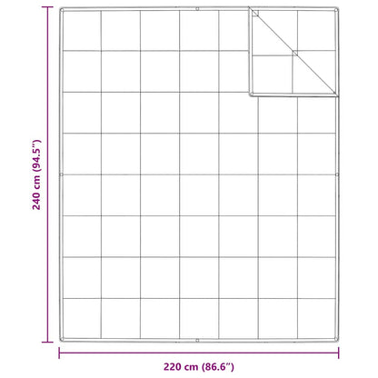 Duvet 2-in-1 Bianco 240 x 220 cm Piuma