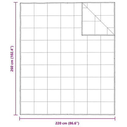Duvet 2-in-1 Bianco 260 x 220 cm Piuma