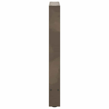 Gambe per Tavolino Naturale 2 pz 60x(72-73) cm Acciaio - homemem39
