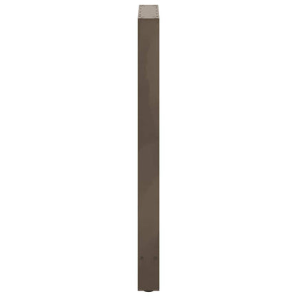 Gambe per Tavolino Acciaio Naturale 2 pz 60x(100-101)cm Acciaio - homemem39