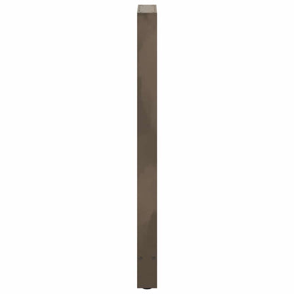 Gambe per Tavolino Acciaio Naturale 2 pz 40x(110-111)cm Acciaio - homemem39