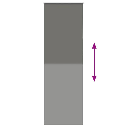 Tenda a Rullo Oscurante 65x230 cm Larghezza Tessuto 60,7 cm | homemem39