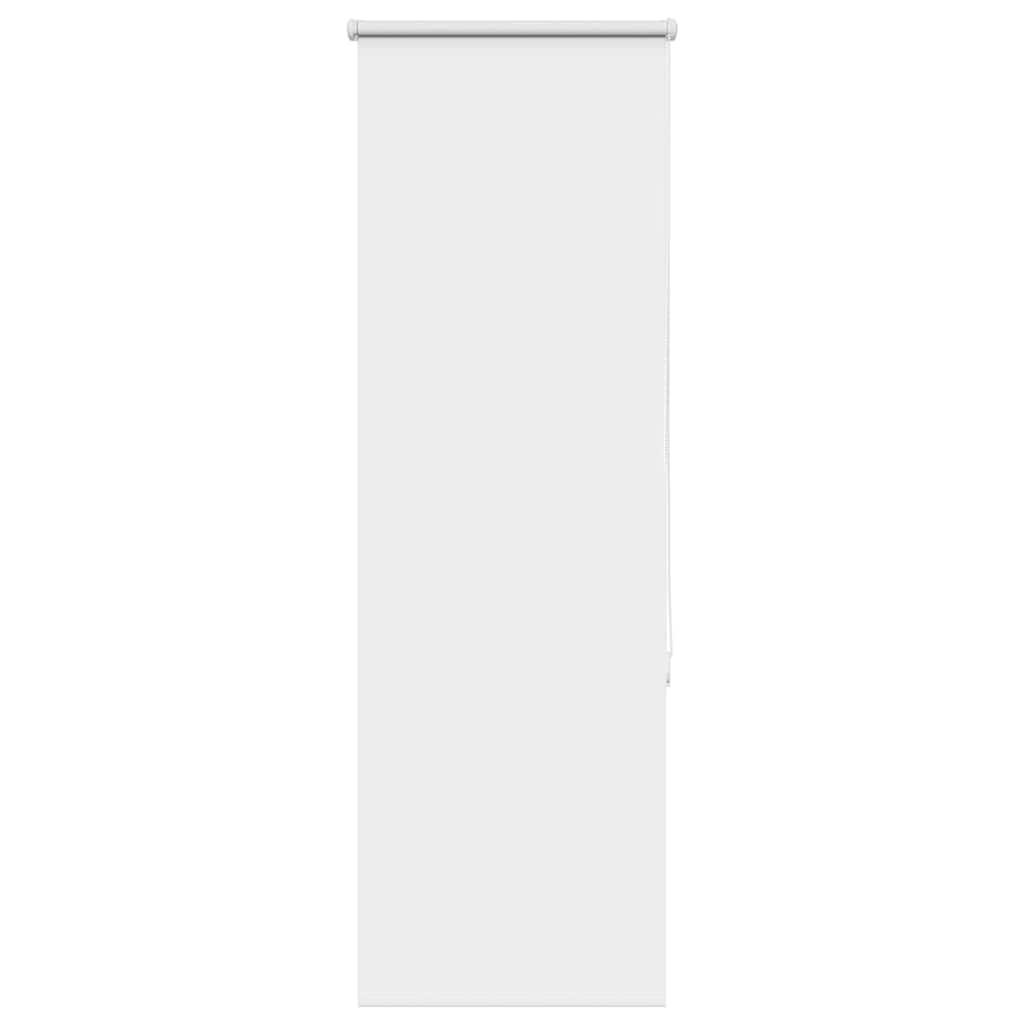 Tenda a Rullo Oscurante 60x175 cm Larghezza Tessuto 55,7 cm
