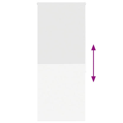 Tenda a Rullo Doccia 110x240 cm Larghezza Tessuto 106 cm | homemem39