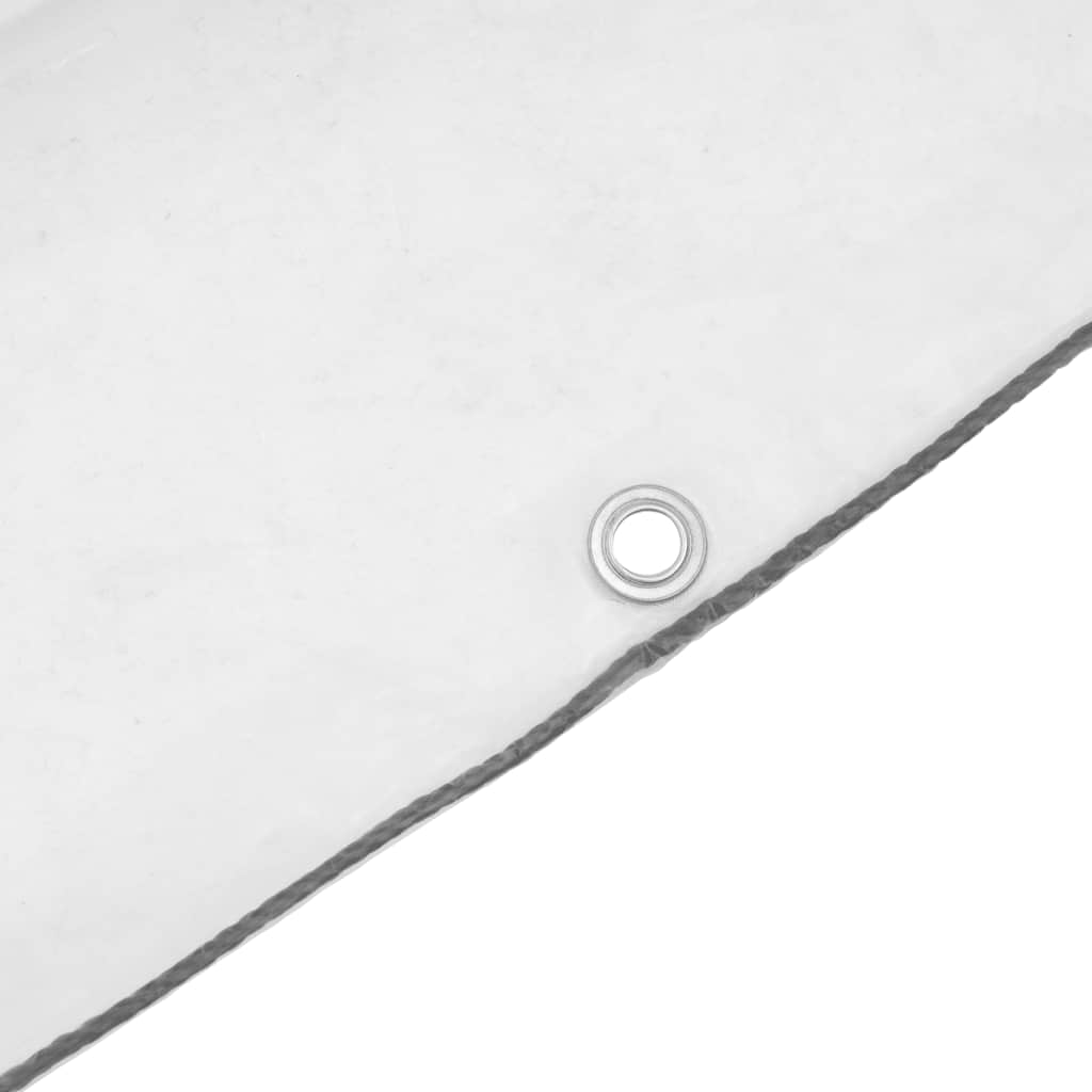 Telone Trasparente con Occhielli 2x8 m in Polietilene