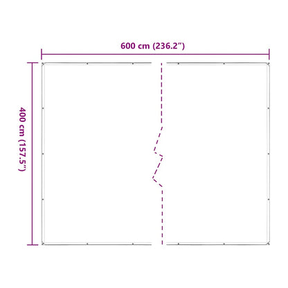 Telone Trasparente con Occhielli 4x6 m in Polietilene | homemem39