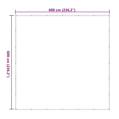 Telone Trasparente con Occhielli 6x6 m in Polietilene | homemem39