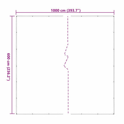 Telone Trasparente con Occhielli 6x10 m in Polietilene | homemem39