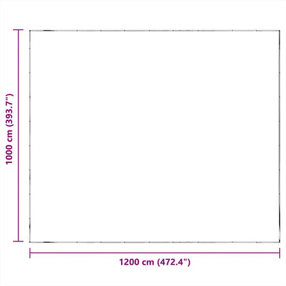 Telone Trasparente con Occhielli 10x12 m in Polietilene | homemem39