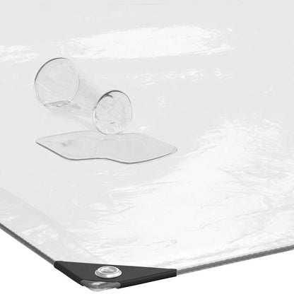 Telone Trasparente con Occhielli 12x12 m in Polietilene