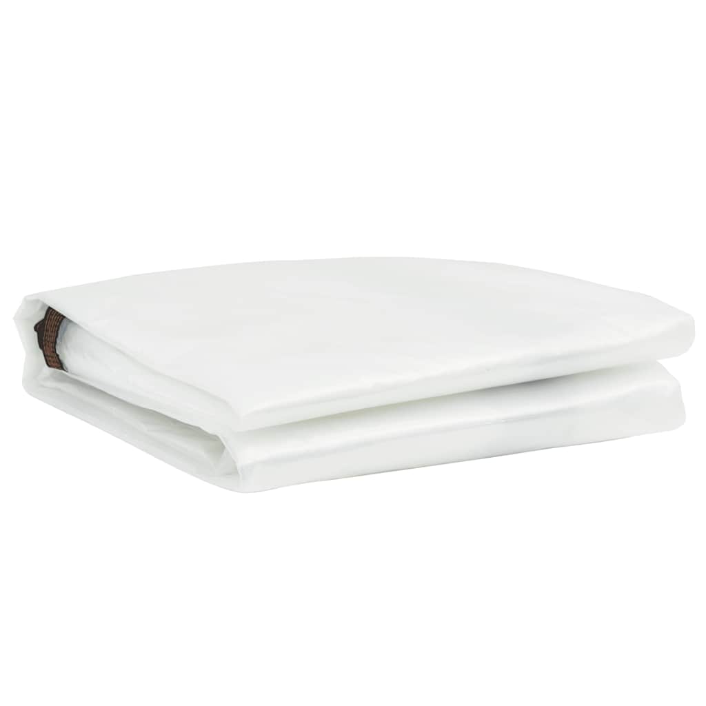 Telone Trasparente con Occhielli 2x3 m in Polietilene