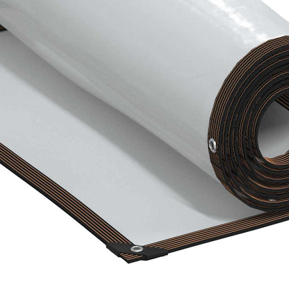 Telone Trasparente con Occhielli 2x3 m in Polietilene