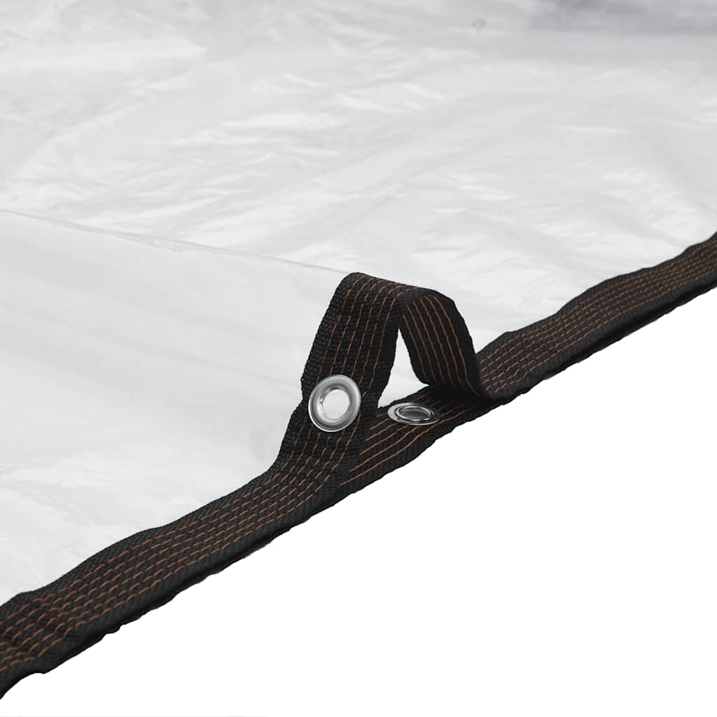 Telone Trasparente con Occhielli 2x4 m in Polietilene | homemem39
