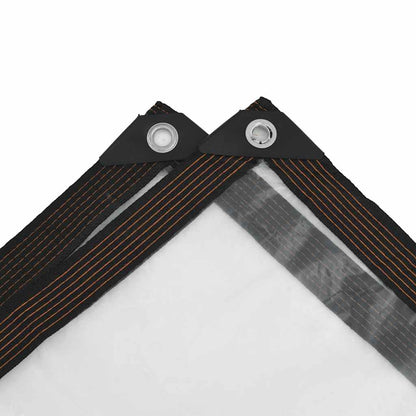 Telone Trasparente con Occhielli 2x5 m in Polietilene