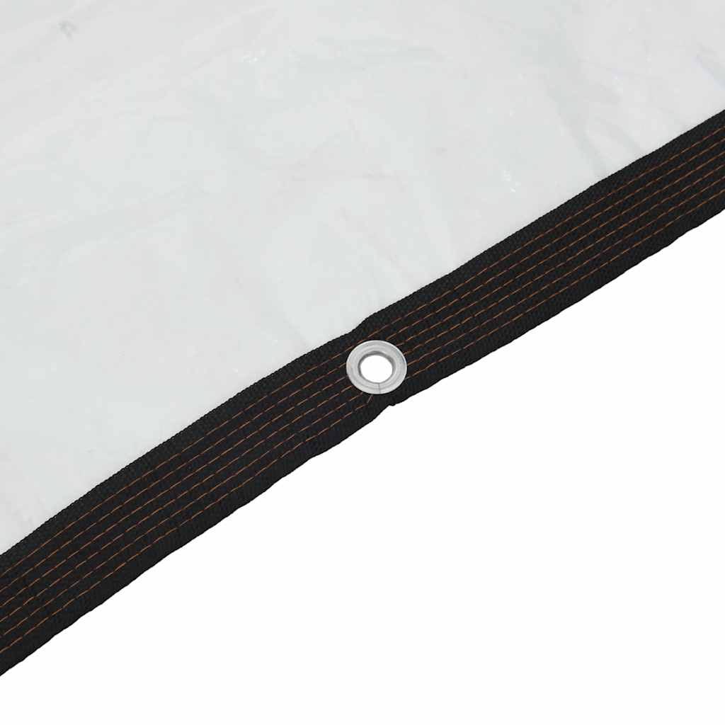 Telone Trasparente con Occhielli 2x5 m in Polietilene