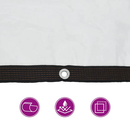 Telone Trasparente con Occhielli 2x5 m in Polietilene