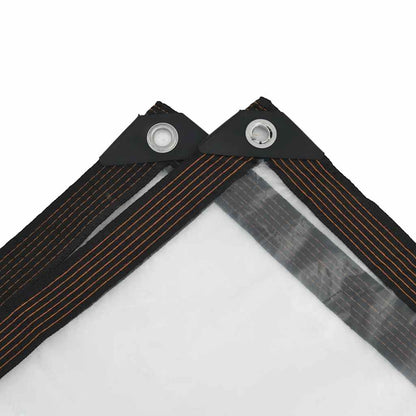 Telone Trasparente con Occhielli 5x8 m in Polietilene