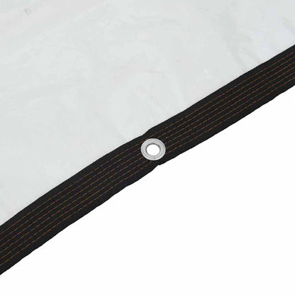 Telone Trasparente con Occhielli 5x8 m in Polietilene