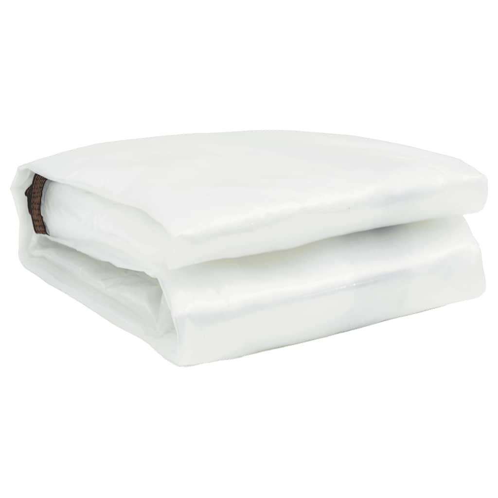 Telone Trasparente con Occhielli 6x8 m in Polietilene