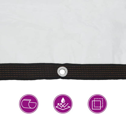 Telone Trasparente con Occhielli 6x8 m in Polietilene