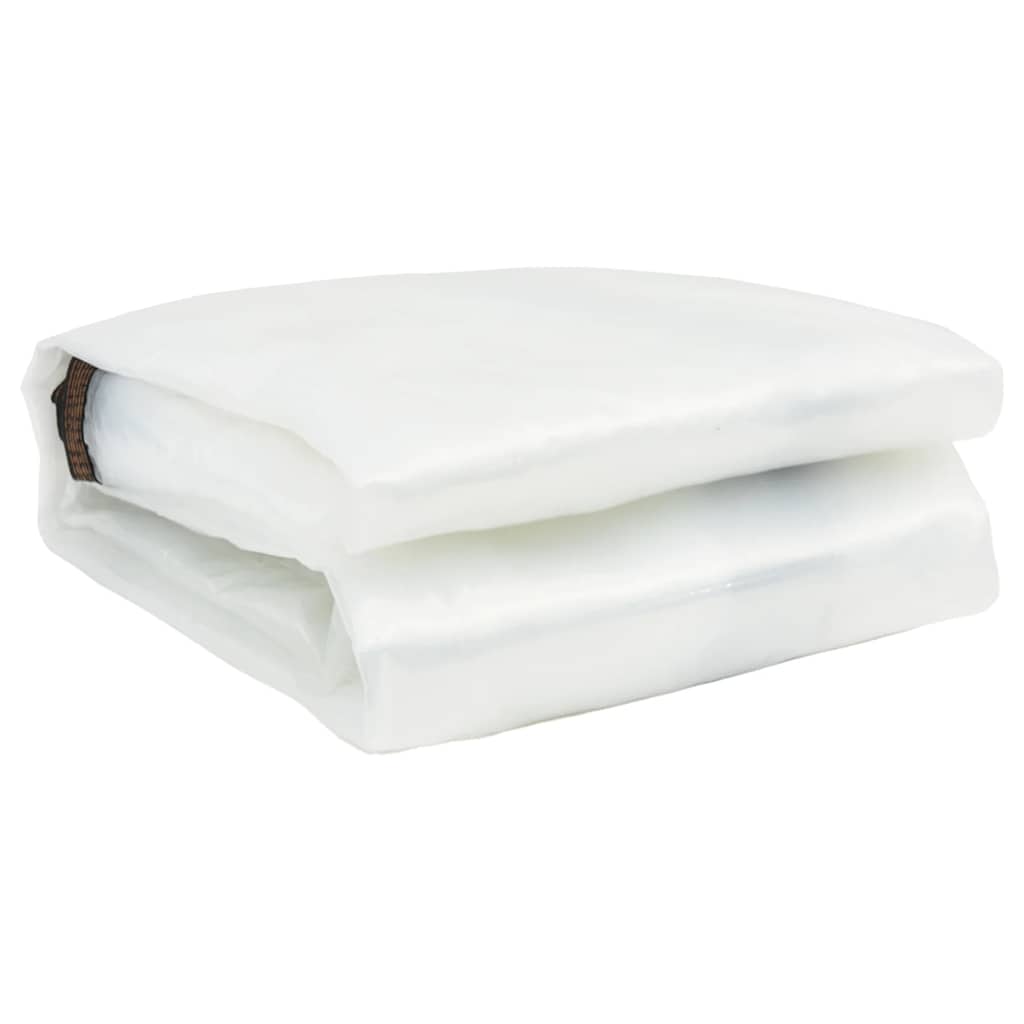 Telone Trasparente con Occhielli 8x10 m in Polietilene