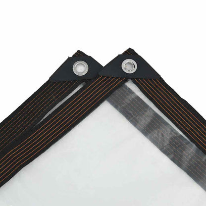 Telone Trasparente con Occhielli 8x10 m in Polietilene