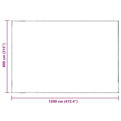 Telone Trasparente con Occhielli 8x12 m in Polietilene