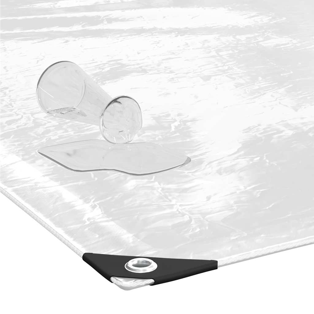 Telone Trasparente con Occhielli 1x12 m in PVC