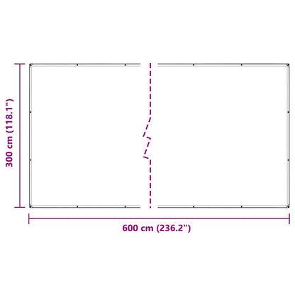 Telone Trasparente con Occhielli 3x6 m in PVC | homemem39