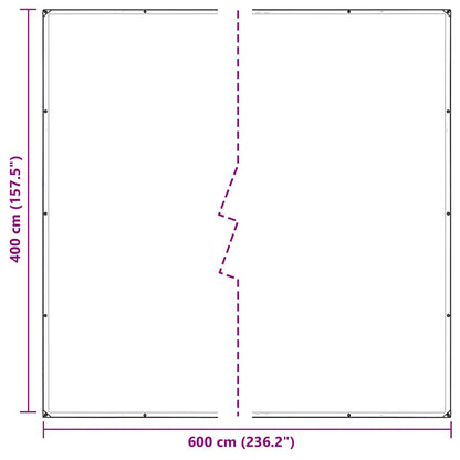 Telone Trasparente con Occhielli 4x6 m in PVC | homemem39