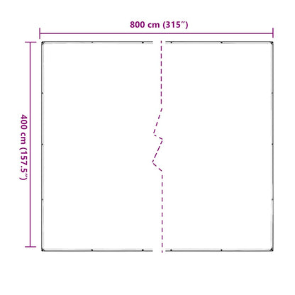 Telone Trasparente con Occhielli 4x8 m in PVC | homemem39