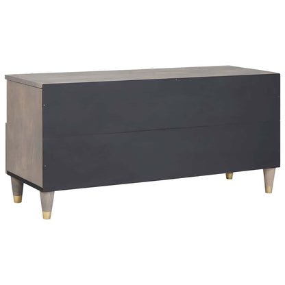 Mobile TV con cassetto Grigio e Oro 100 x 33.5 x 46 cm
