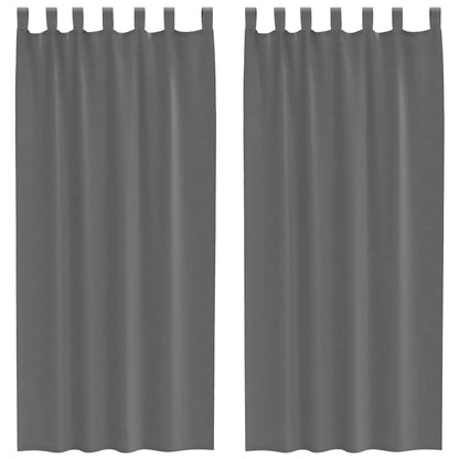 Tende in Voile con Passanti 2 pz Grigio Scuro 140x225 cm | homemem39