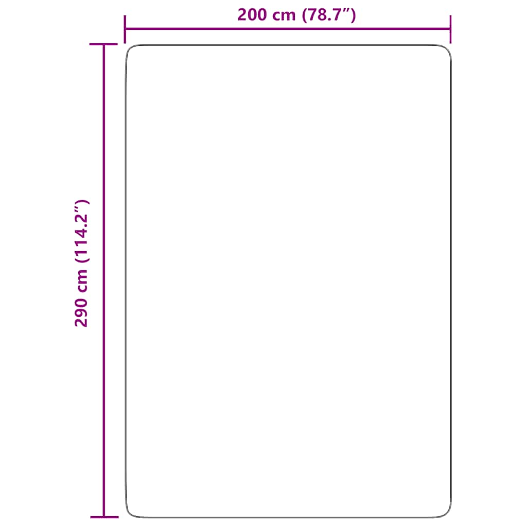 Tappeto Shaggy a Pelo Lungo NAVARRA Grigio Chiaro 200x290 cm - homemem39