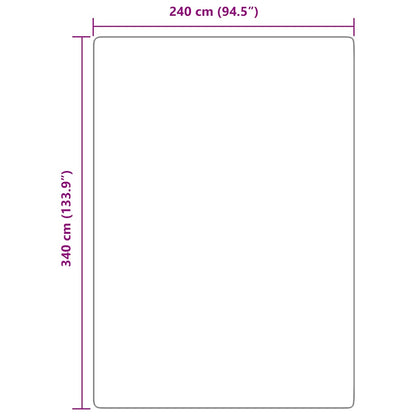 Tappeto Shaggy a Pelo Lungo NAVARRA Grigio Chiaro 240x340 cm