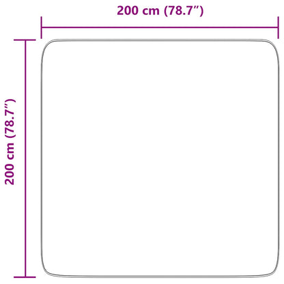 Tappeto Shaggy a Pelo Lungo NAVARRA Grigio Chiaro 200x200 cm - homemem39