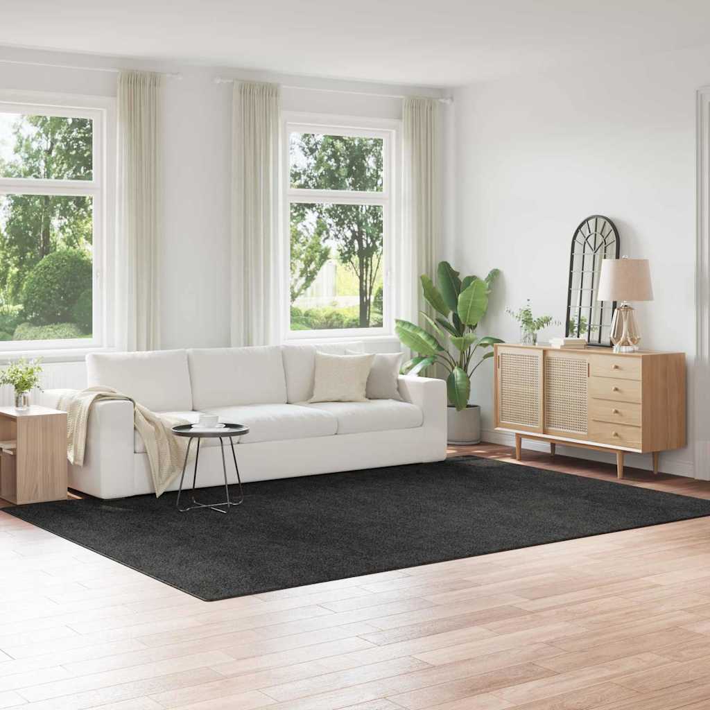 Tappeto Shaggy Antiscivolo Grigio scuro 240 x 340 cm PP