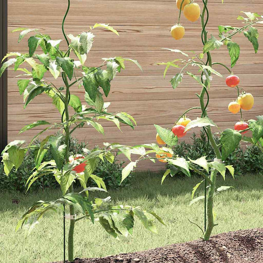 Sostegni a spirale per piante 5 pcs Verde 150 cm