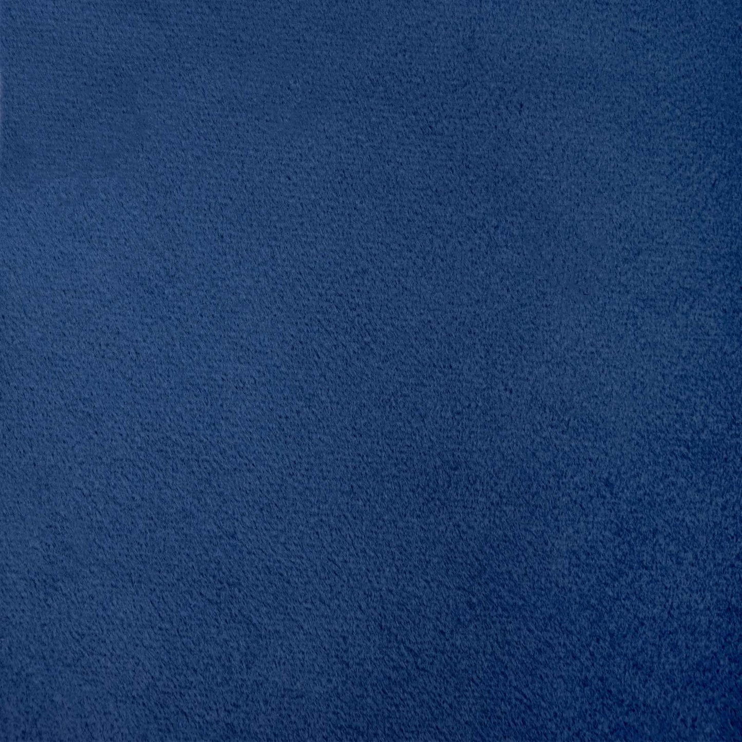 Tende oscuranti 2 pcs Blu Scuro 140 x 260 cm Velluto | homemem39